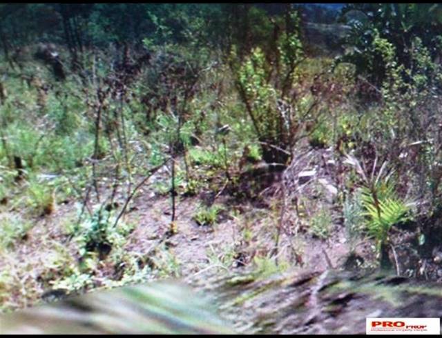 LAND FOR SALE IN LEISURE BAY